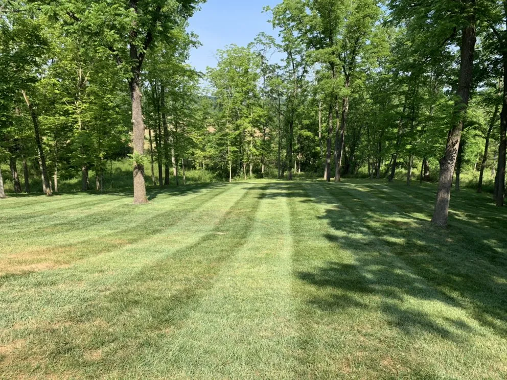 Affordable yard cleanup service with custom design across Batesville, IN - Corbyn’s Lawn care