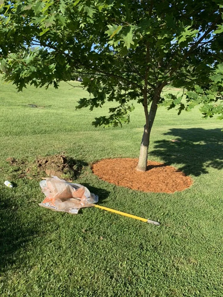 Custom landscape installation experts serving Batesville, IN - Corbyn’s Lawn care