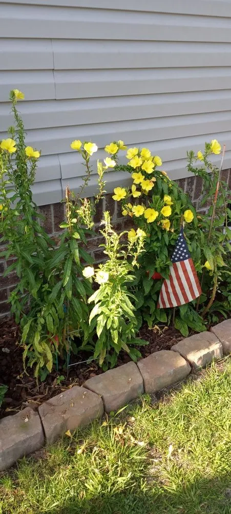 Local yard maintenance for residential properties across Bolivia, NC - Cordell's Remodeling and Landscaping