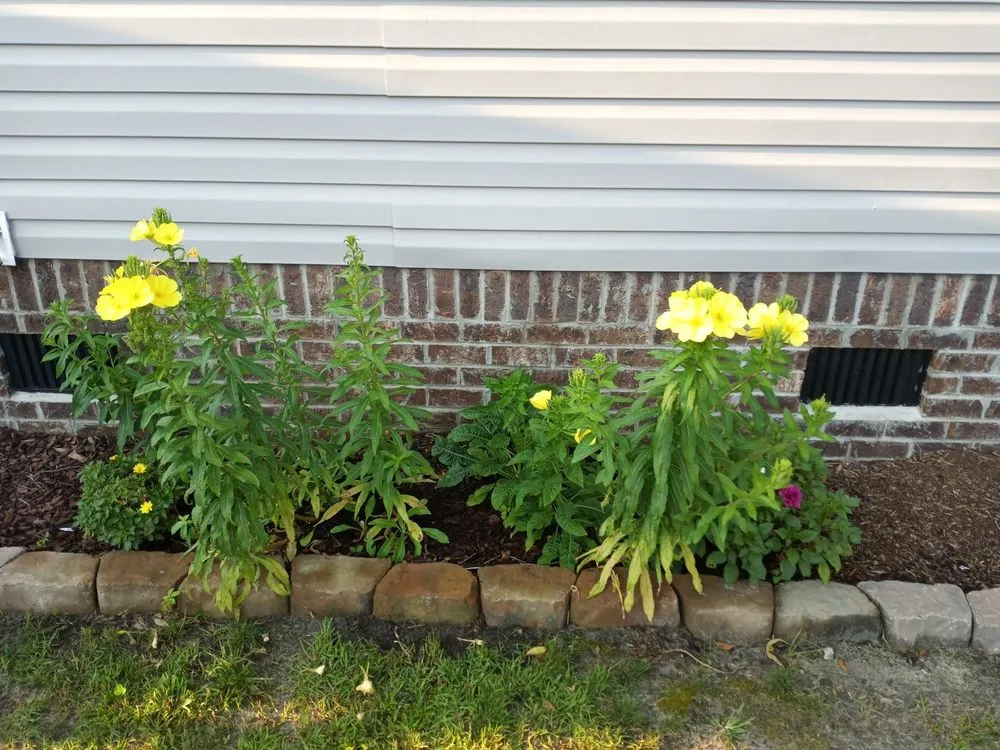 Local landscaping services for outdoor upgrades in Bolivia, NC by Cordell's Remodeling and Landscaping