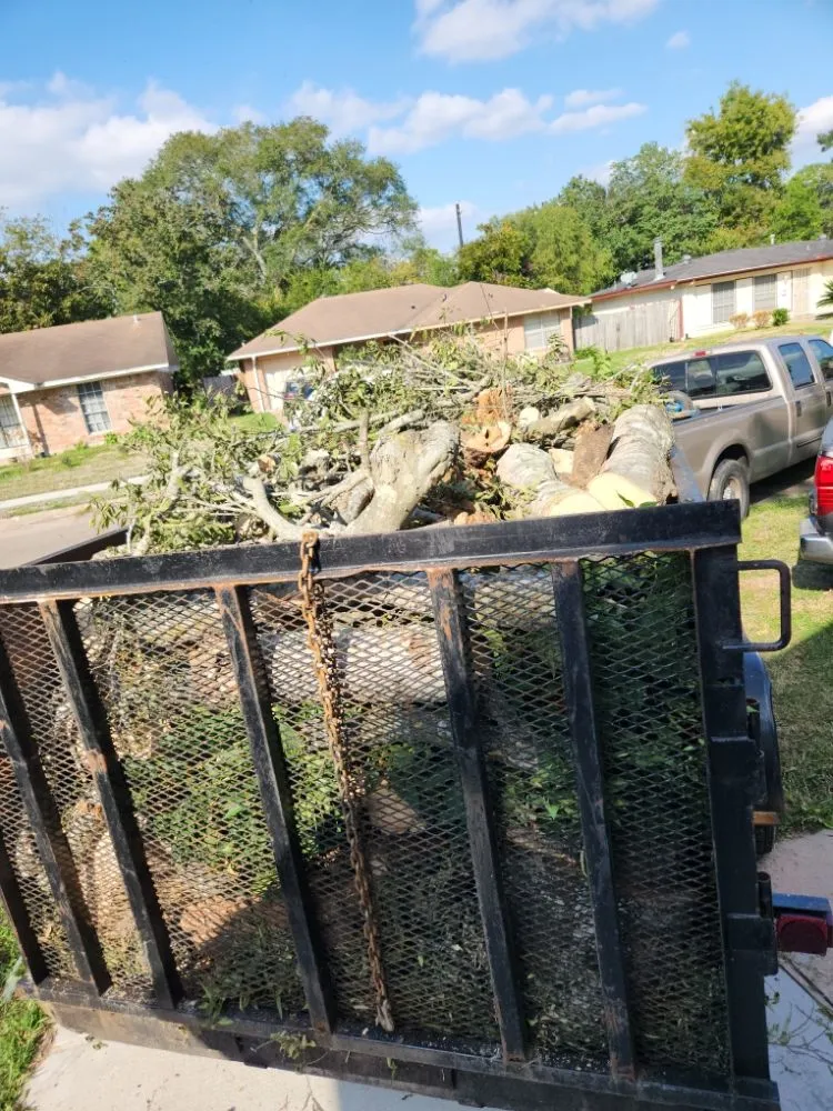 Professional outdoor landscaping experts serving Houston, TX - Cordero Landscaping