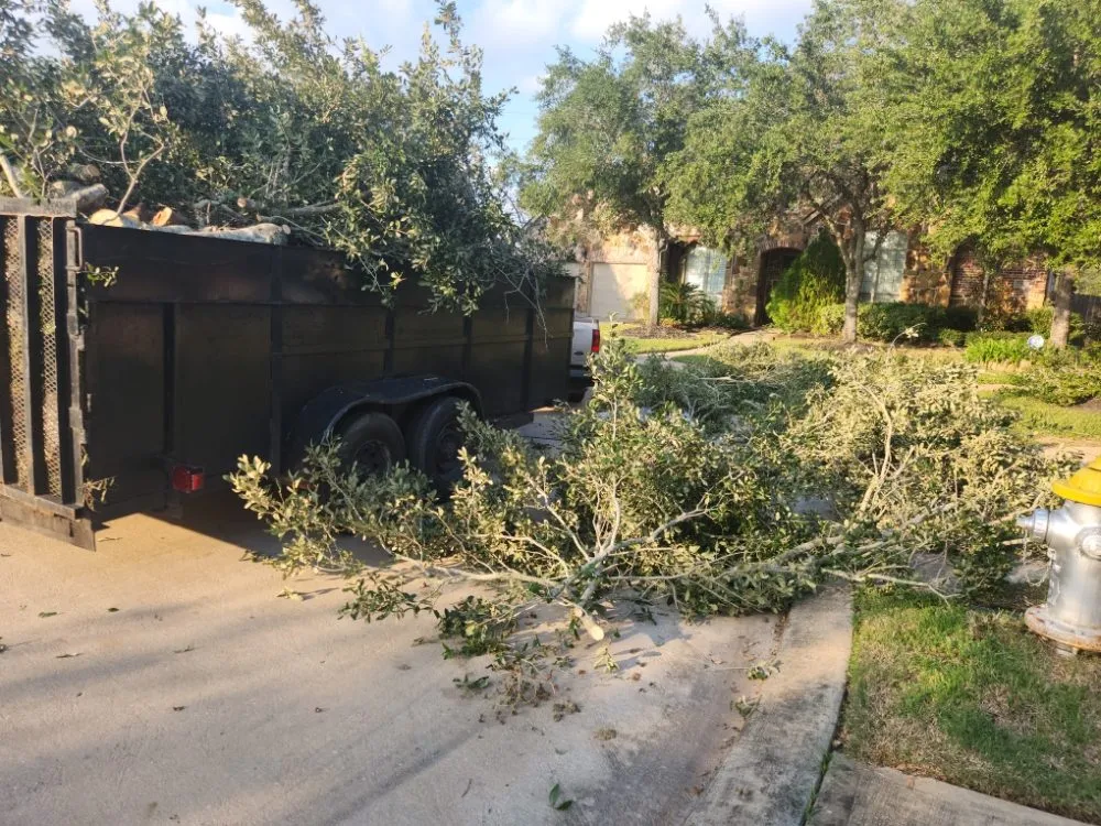 Top-rated landscape installation in Houston, TX - Cordero Landscaping