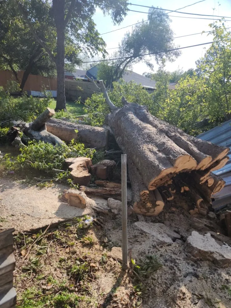 Top-rated landscape installation for outdoor upgrades across Houston, TX - Cordero Landscaping