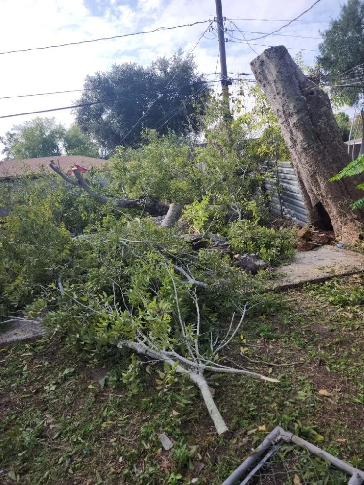 Custom landscape design for outdoor upgrades in Houston, TX by Cordero Landscaping