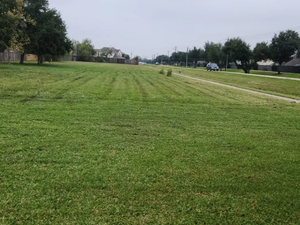 Reliable landscaping services with custom design in Houston, TX by Cordero Landscaping