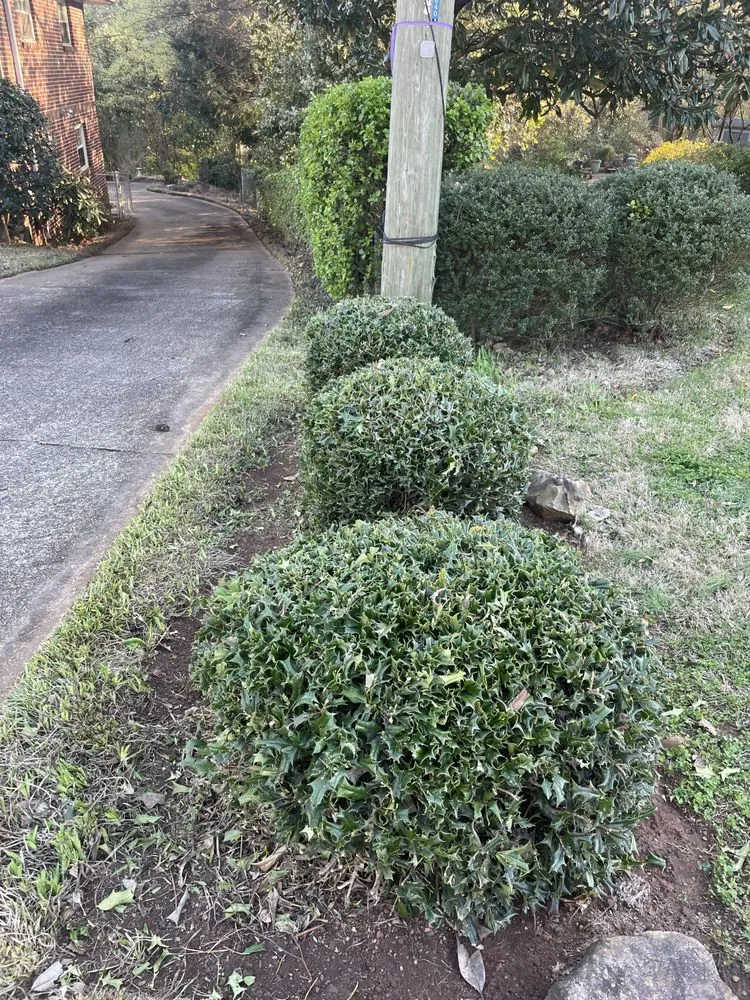 Top-rated garden landscaping experts serving Dalton, GA - Cordero’s Landscaping