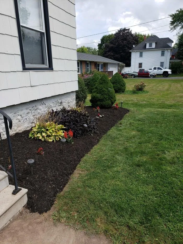 Affordable yard maintenance experts serving Lockport, NY - Cordero's Lawn Mowing