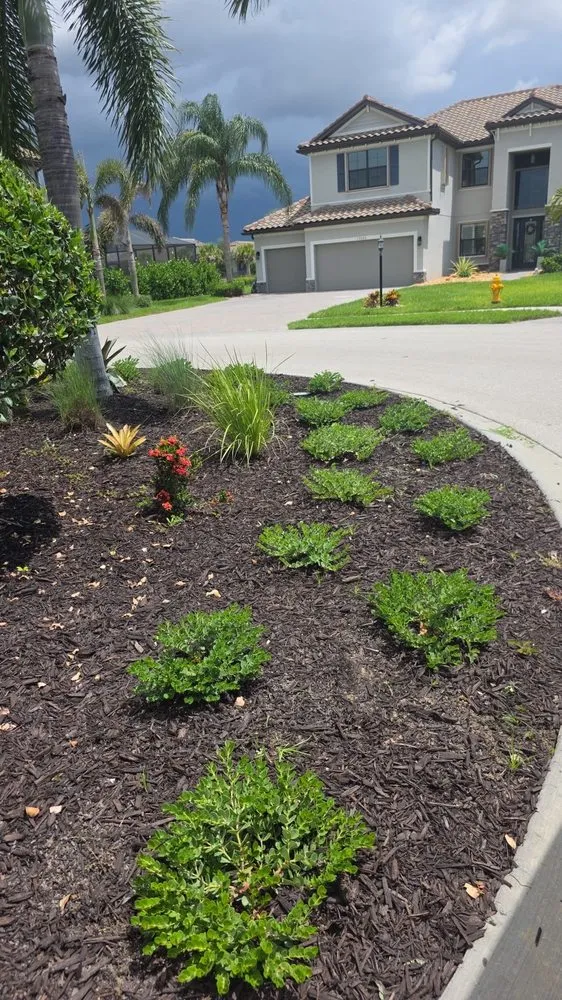 Expert lawn care service for year-round maintenance across Lehigh Acres, FL - Cordoba Landscaping Service