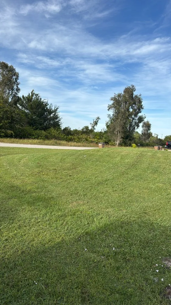 Local outdoor landscaping for beautiful yards in Lehigh Acres, FL by Cordoba Landscaping Service