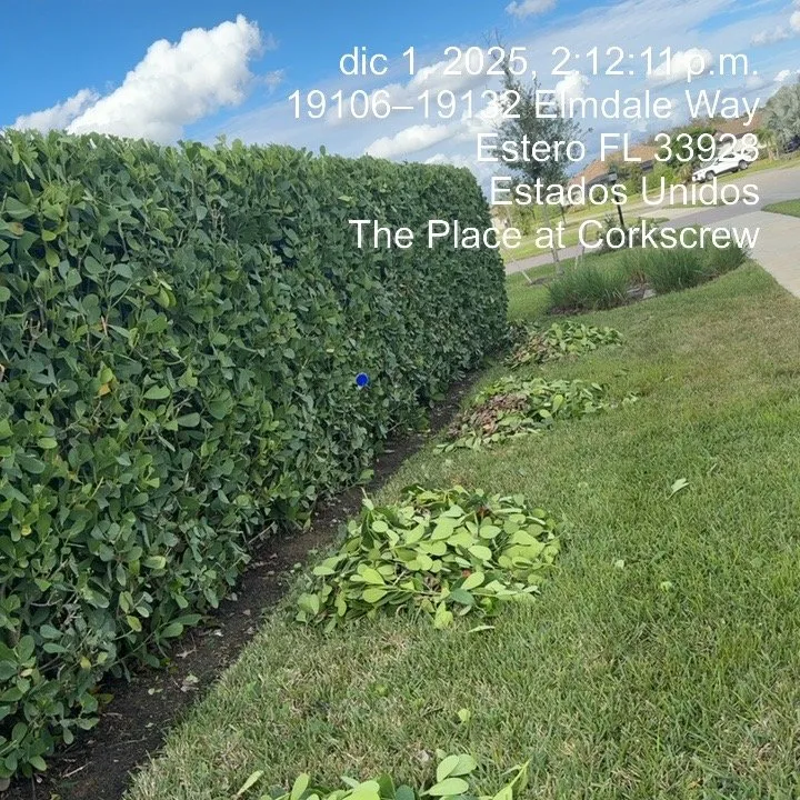 Affordable landscaping services in Lehigh Acres, FL by Cordoba Landscaping Service