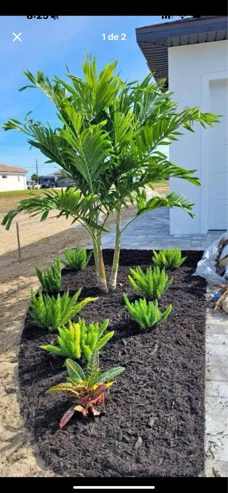Affordable landscaping services in Lehigh Acres, FL - Cordoba Landscaping Service
