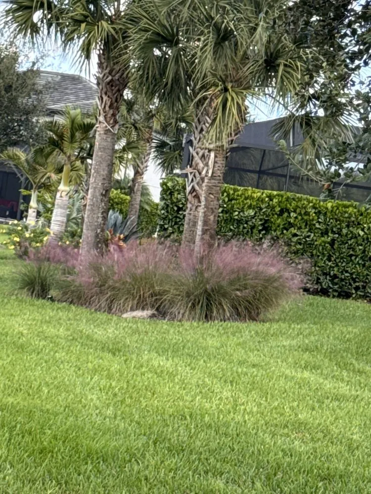 Reliable landscape installation for outdoor upgrades across Lehigh Acres, FL - Cordoba Landscaping Service