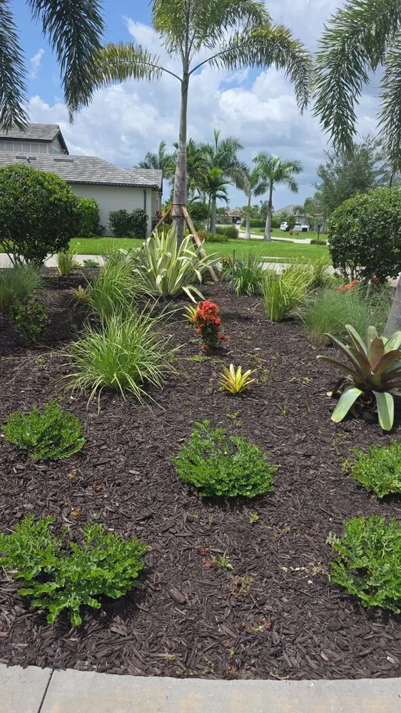 Affordable landscape installation for outdoor upgrades in Lehigh Acres, FL by Cordoba Landscaping Service