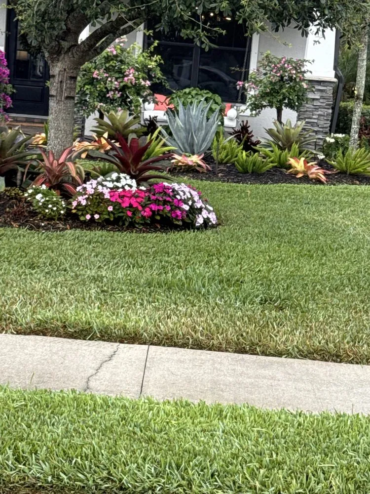 Custom residential landscaping experts serving Lehigh Acres, FL - Cordoba Landscaping Service