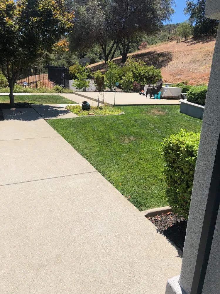 Custom landscape design for outdoor upgrades across Newcastle, CA - Cordon Landscaping