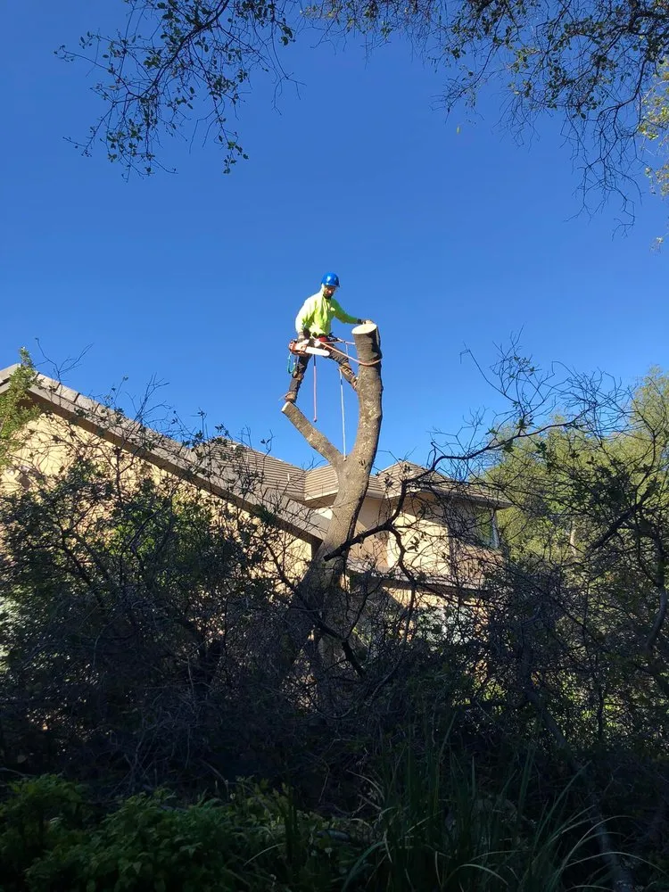 Reliable lawn care service experts serving Newcastle, CA - Cordon Landscaping