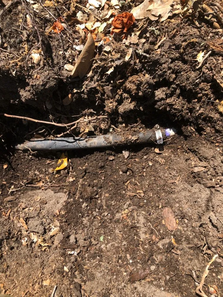 Reliable outdoor landscaping for residential properties across Newcastle, CA - Cordon Landscaping