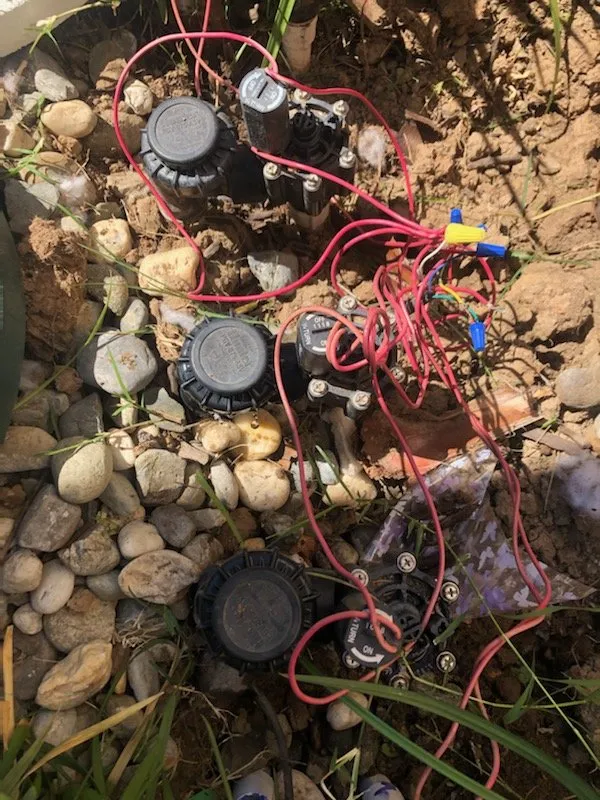 Professional landscape design for beautiful yards across Newcastle, CA - Cordon Landscaping