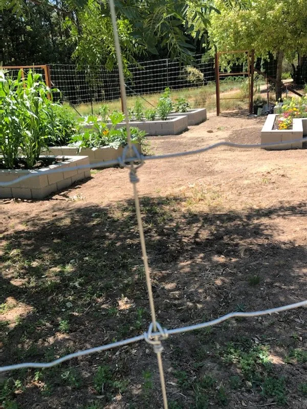 Local yard cleanup service for residential properties in Newcastle, CA by Cordon Landscaping