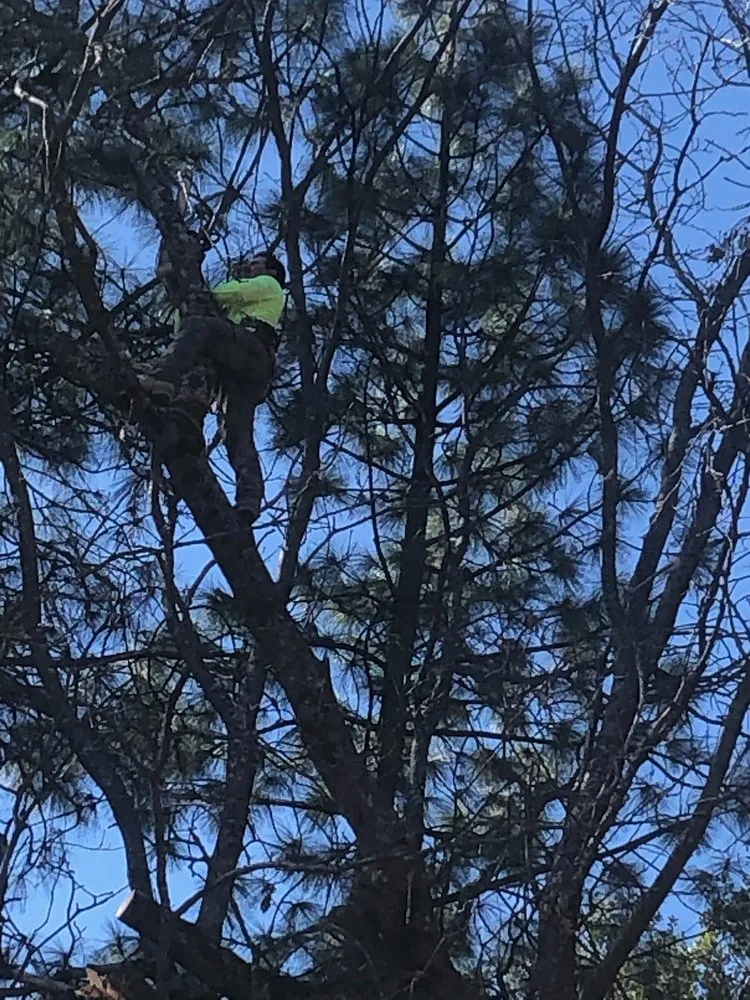 Custom lawn mowing service in Newcastle, CA - Cordon Landscaping