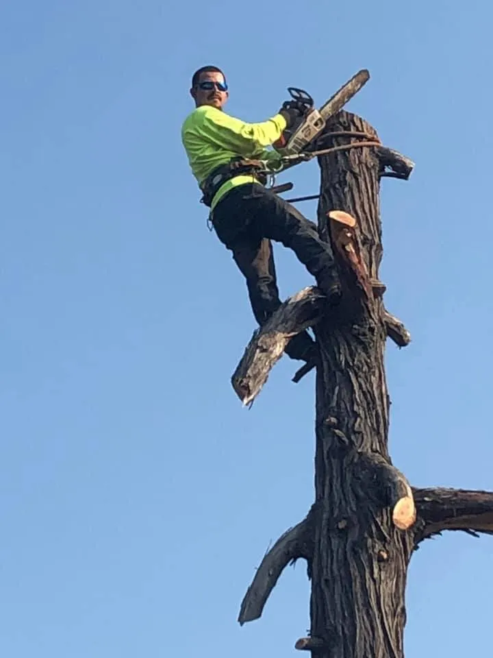 Custom garden landscaping near you across Newcastle, CA - Cordon Landscaping