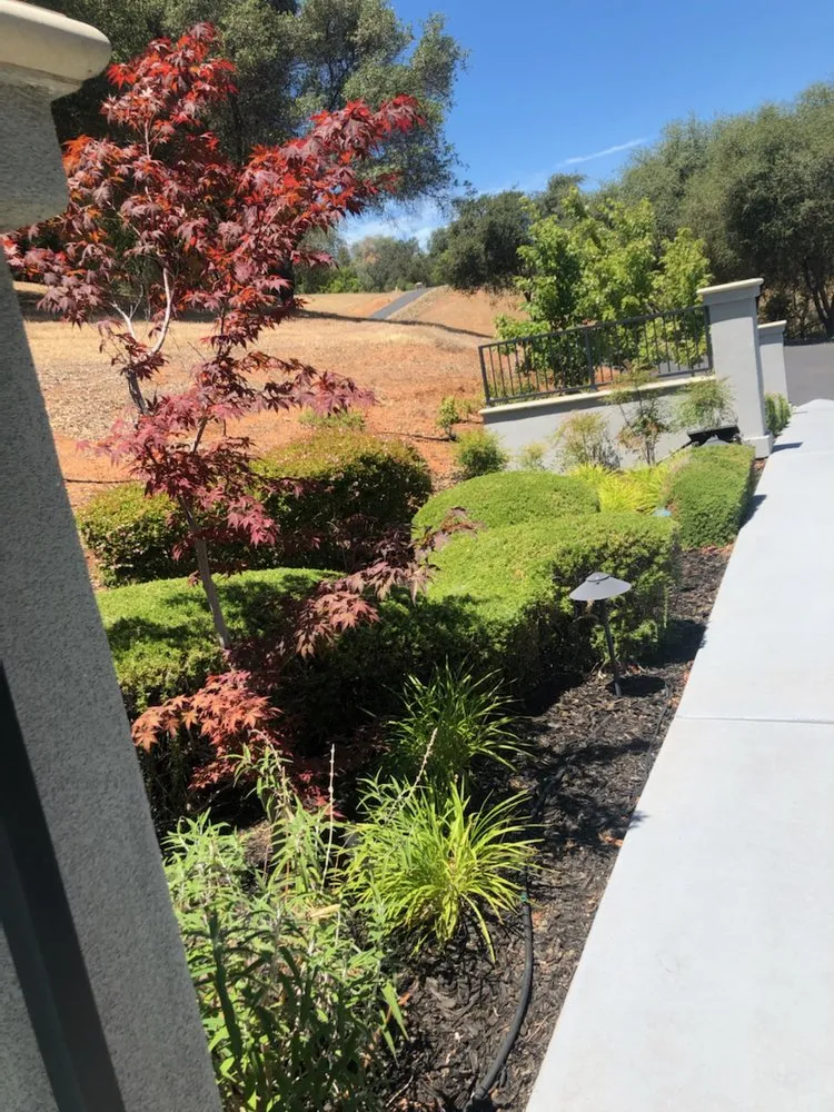 Expert lawn mowing service in Newcastle, CA by Cordon Landscaping