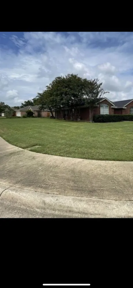 Professional garden landscaping for outdoor upgrades in Leander, TX by Cordova Landscape