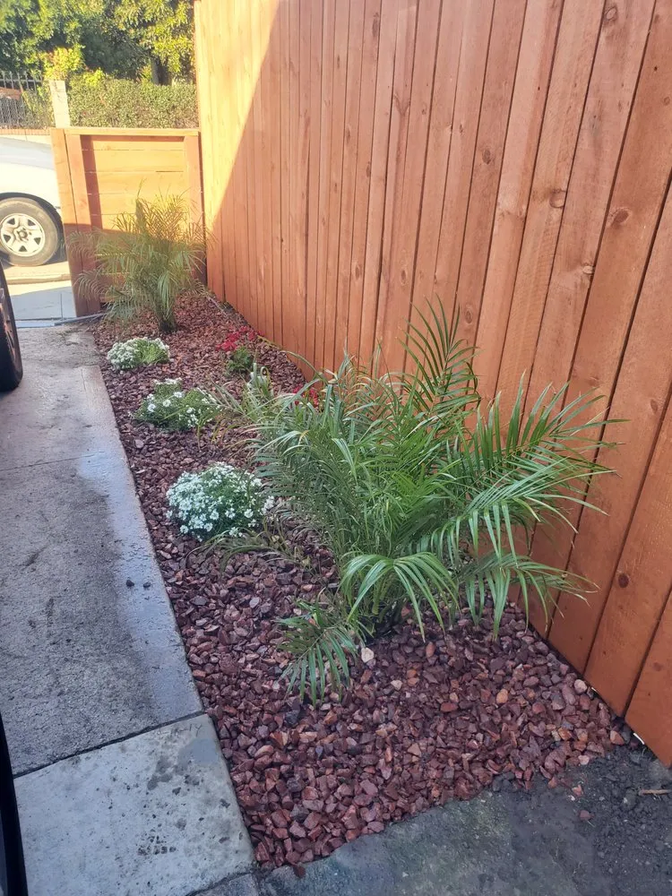 Trusted yard maintenance with custom design in Los Angeles, CA by Cordova Smart Scape