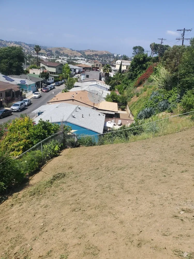 Affordable yard maintenance in Los Angeles, CA - Cordova Smart Scape