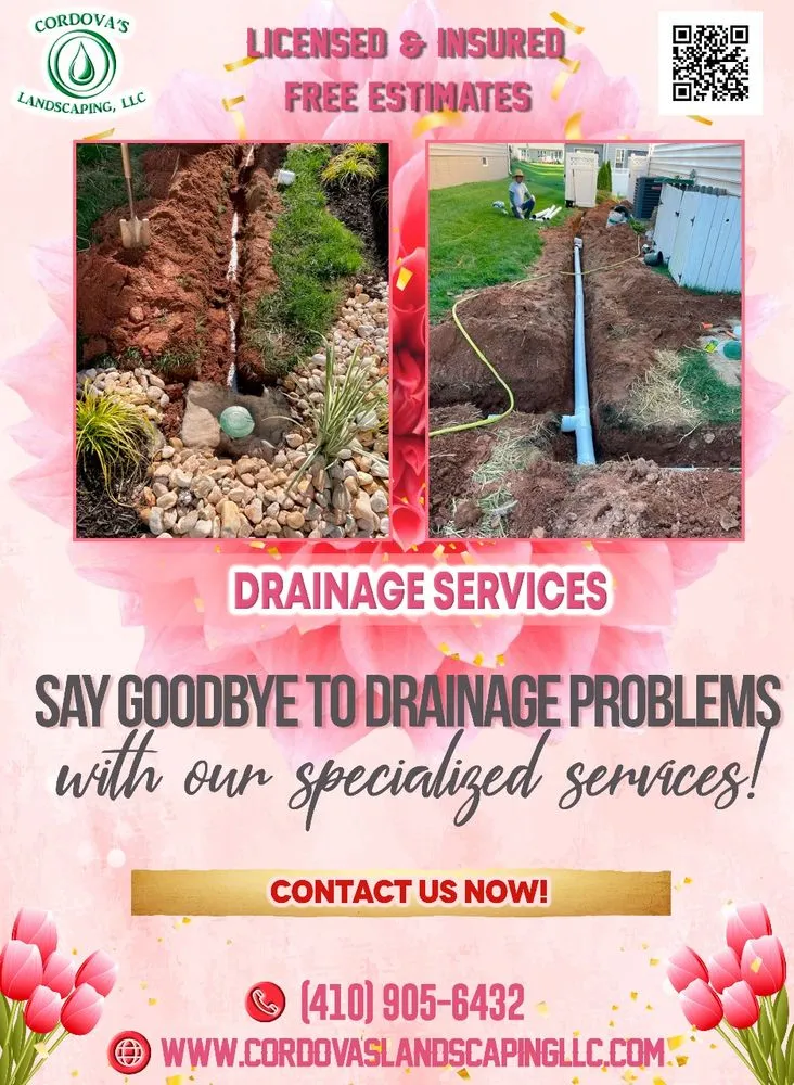 Top-rated yard cleanup service for year-round maintenance across Cockeysville, MD - Cordova's Landscaping