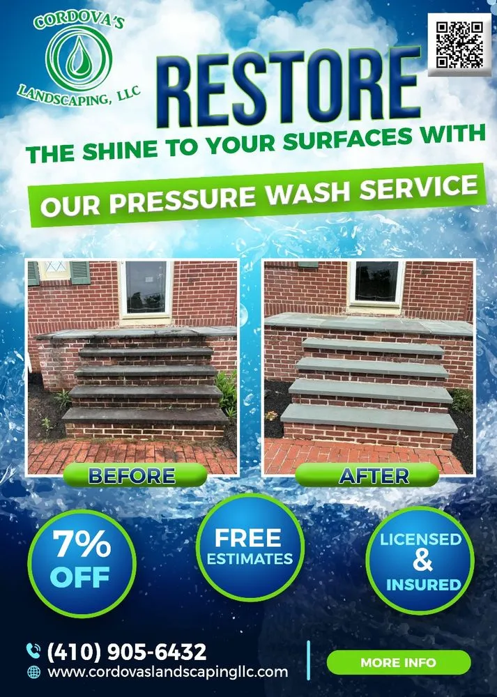 Expert yard cleanup service in Cockeysville, MD - Cordova's Landscaping