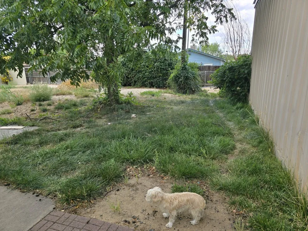 Affordable lawn care service for homes across Farmington, NM - Cordova's Yard Service