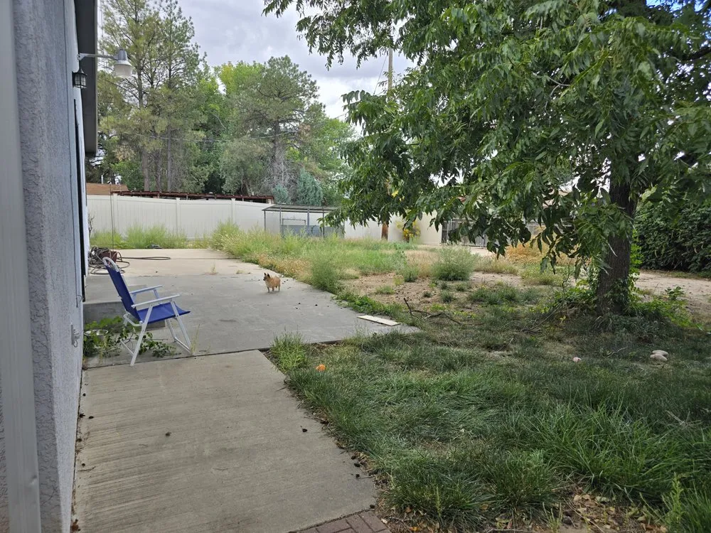 Professional lawn mowing service for beautiful yards across Farmington, NM - Cordova's Yard Service