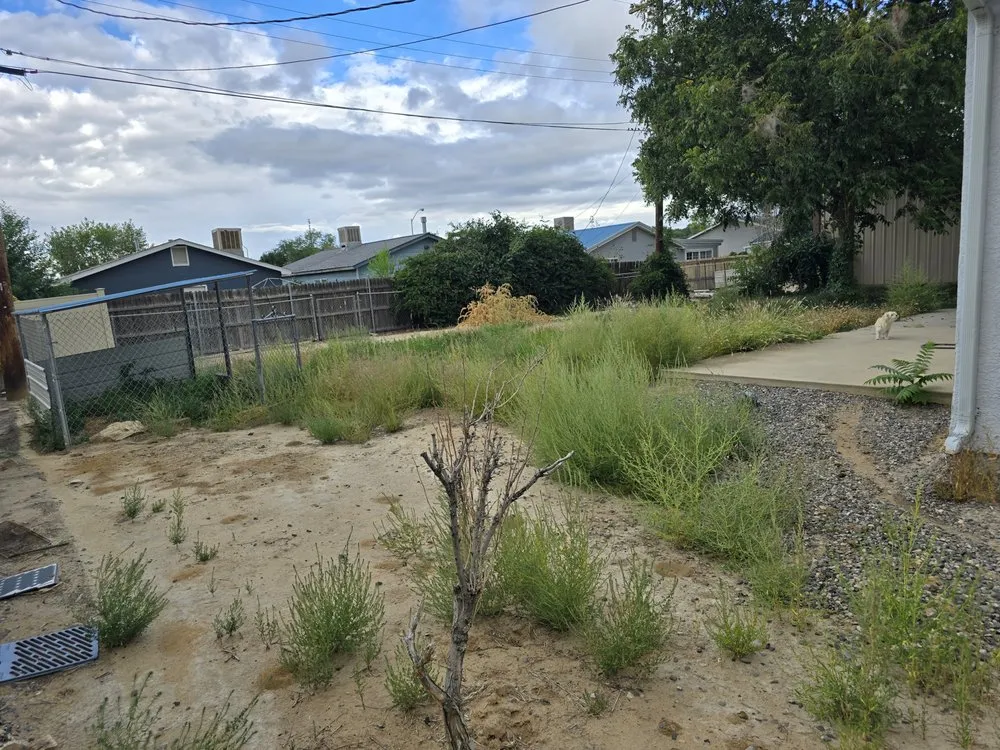 Top-rated yard maintenance for residential properties in Farmington, NM by Cordova's Yard Service