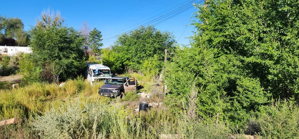 Professional yard cleanup service in Farmington, NM - Cordova's Yard Service