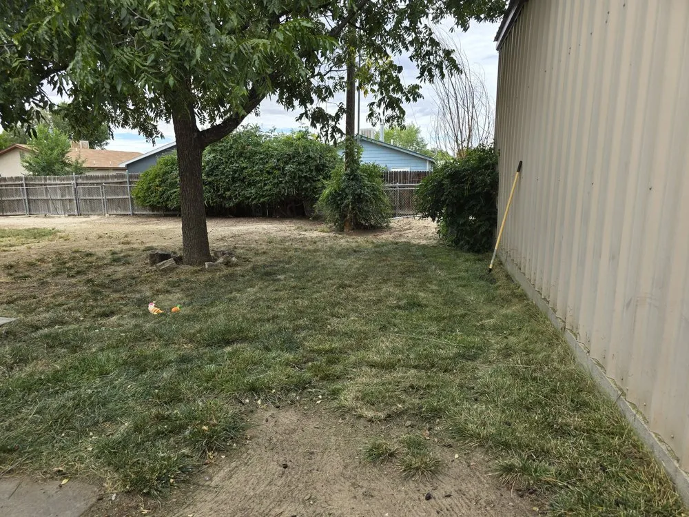 Trusted outdoor landscaping for beautiful yards across Farmington, NM - Cordova's Yard Service