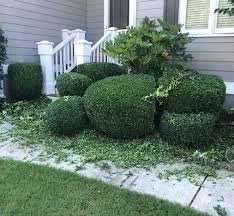 Expert yard cleanup service experts serving Atlanta, GA - Cordray’s Landscaping