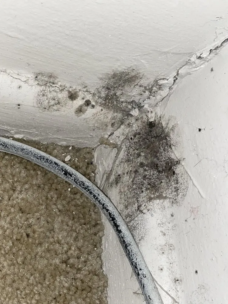 Local residential landscaping for year-round maintenance in Bloomington, IL by Core 3 Landscaping, Maintenance & Construction Services