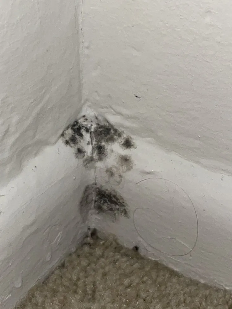 Custom lawn mowing service in Bloomington, IL by Core 3 Landscaping, Maintenance & Construction Services