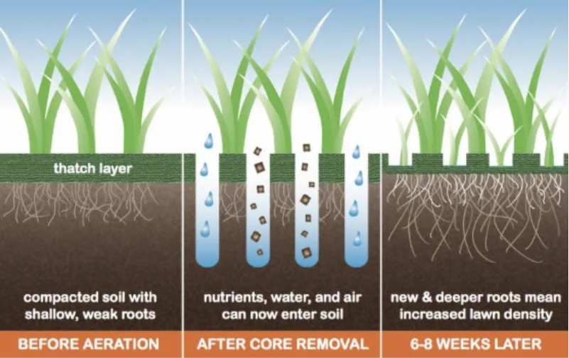 Local residential landscaping near you in Clarksville, TN by Core Aeration & Over seeding Services