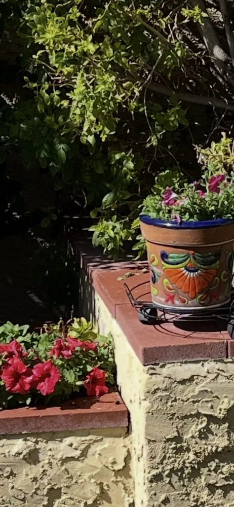 Top-rated yard maintenance in Higley, AZ - Core Landscaping Contractor, Architect