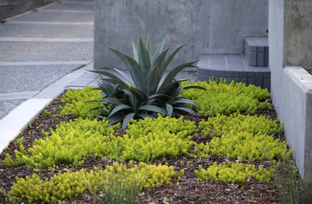 Custom landscape design experts serving Los Gatos, CA - Core Landscaping