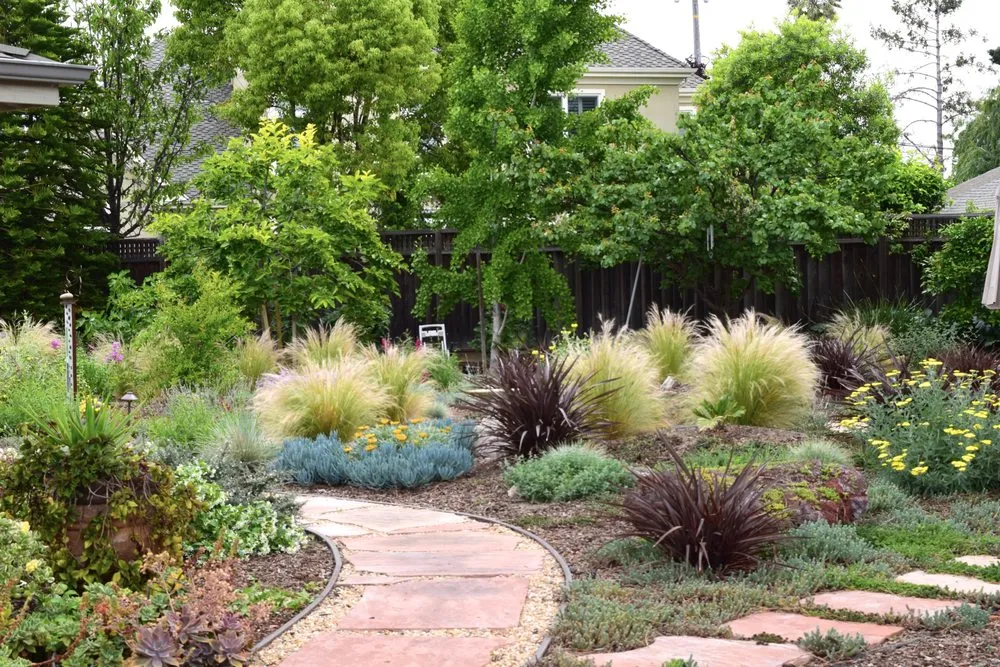 Top-rated landscaping services near you across Los Gatos, CA - Core Landscaping