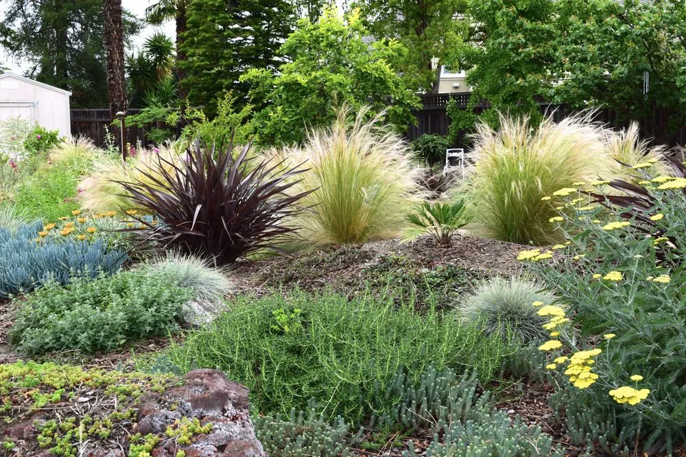 Reliable yard maintenance in Los Gatos, CA by Core Landscaping