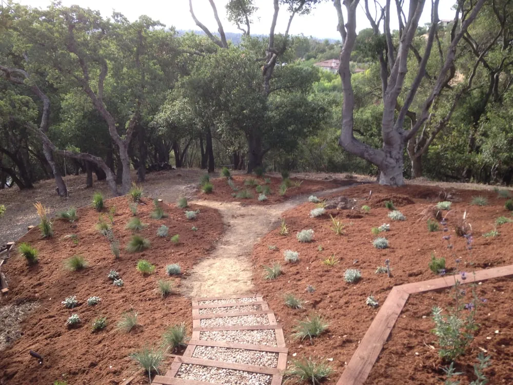 Affordable landscape design in Los Gatos, CA by Core Landscaping