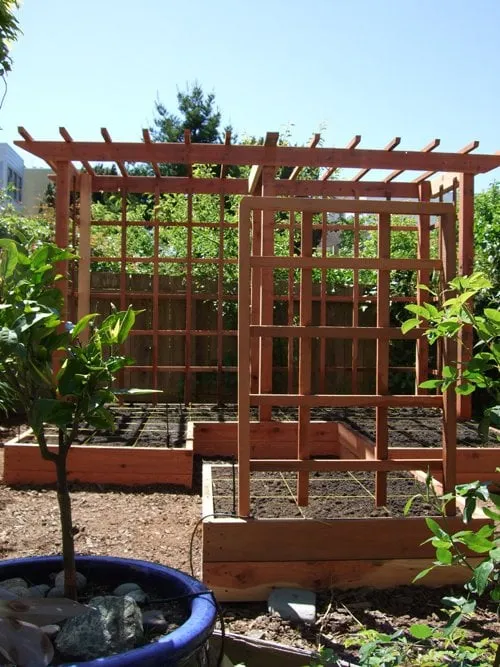 Top-rated lawn care service in Los Gatos, CA by Core Landscaping