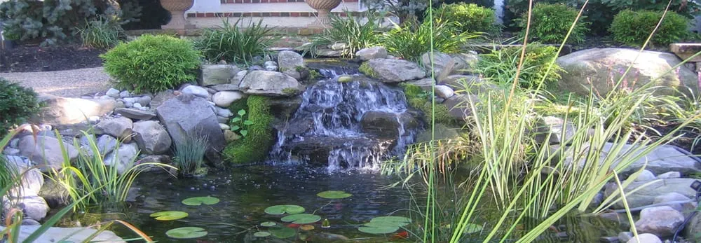 Affordable yard cleanup service for outdoor upgrades across Cherry Hill, NJ - Core Property Services