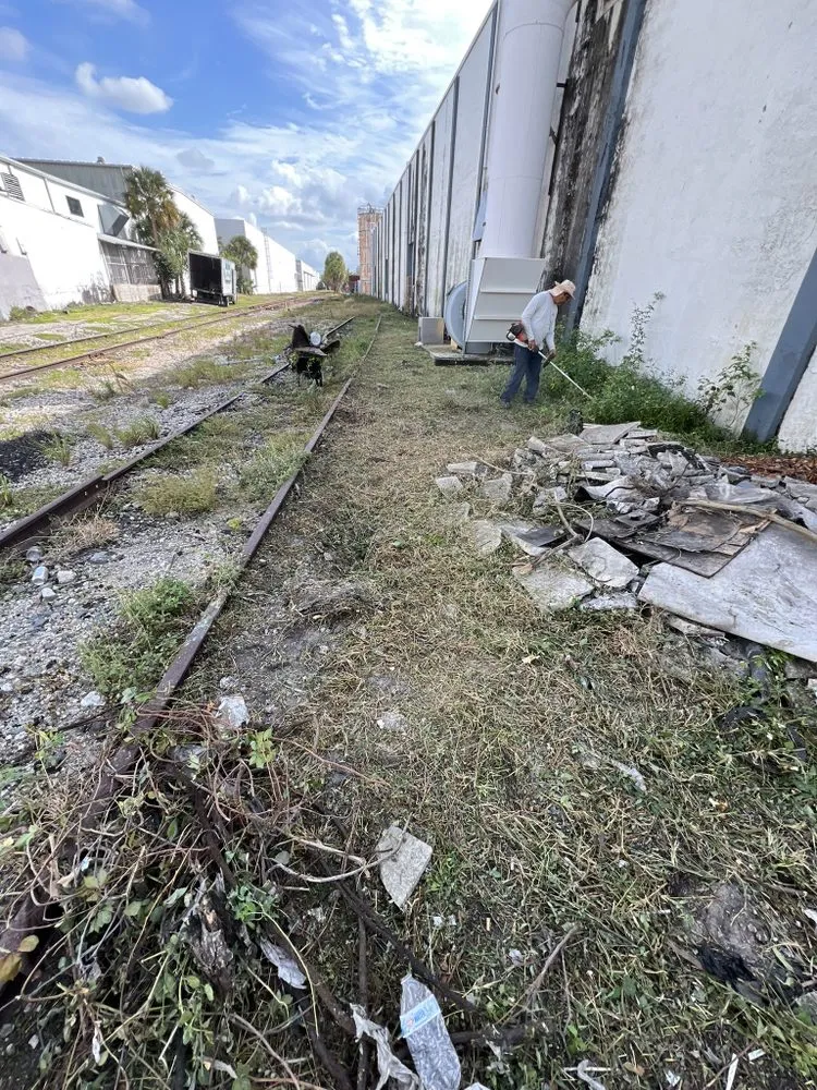 Expert lawn mowing service in Richmond West, FL by Coreas Plants