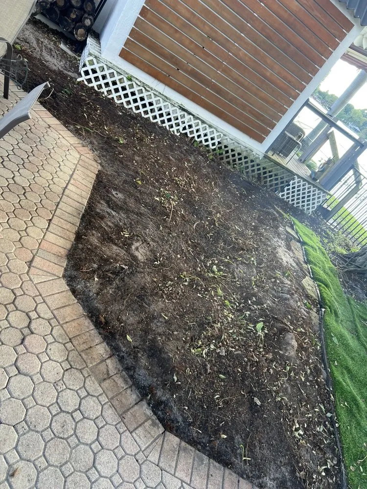 Professional landscape design for outdoor upgrades in Richmond West, FL by Coreas Plants