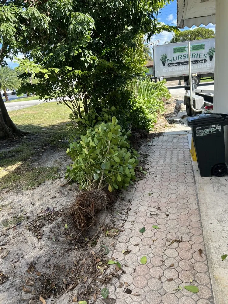 Local lawn mowing service in Richmond West, FL - Coreas Plants